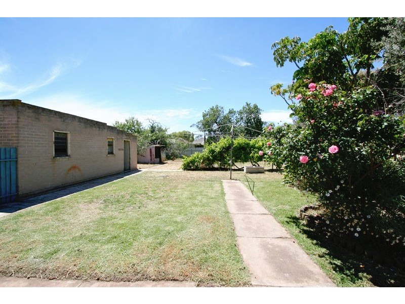 3 Shearing Street, Oaklands Park SA 5046