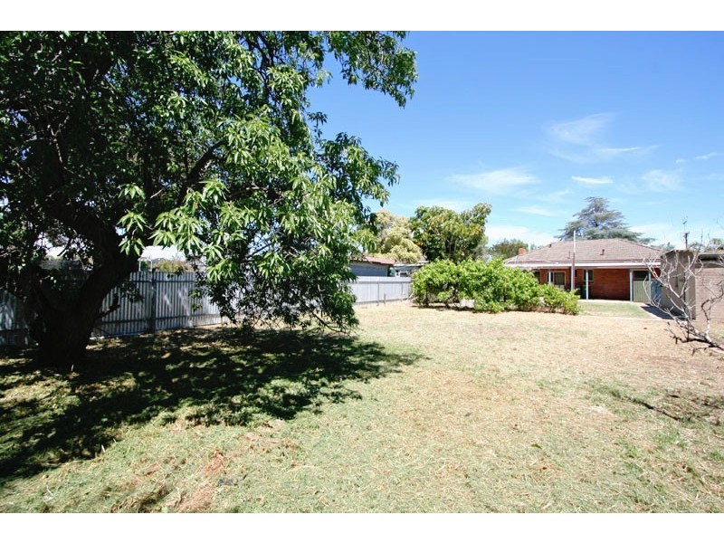 3 Shearing Street, Oaklands Park SA 5046