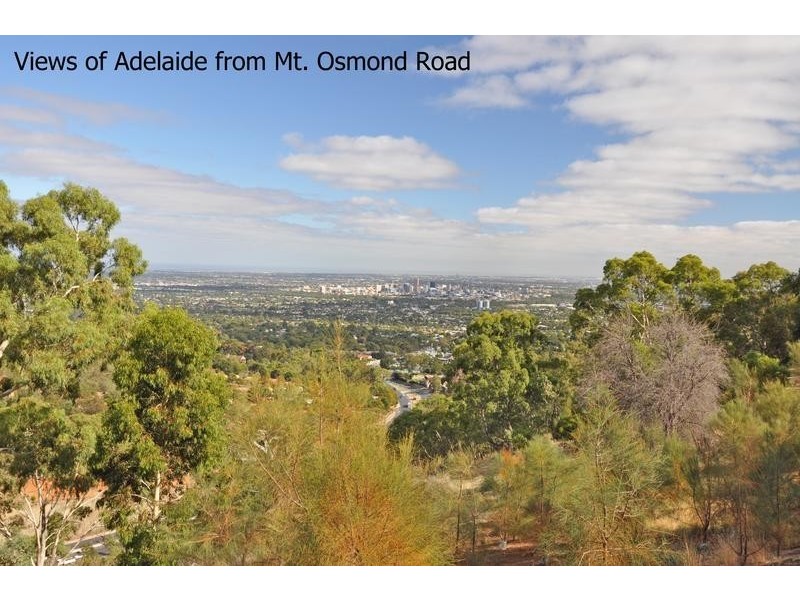 37 Mount Osmond Road, Mount Osmond SA 5064