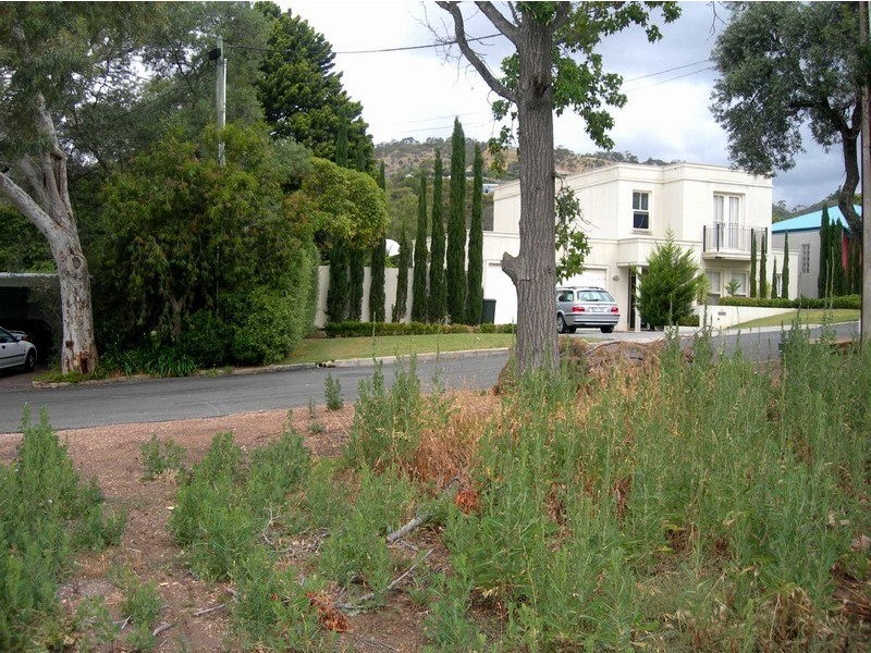 13 Finnis Tce,, Burnside SA 5066