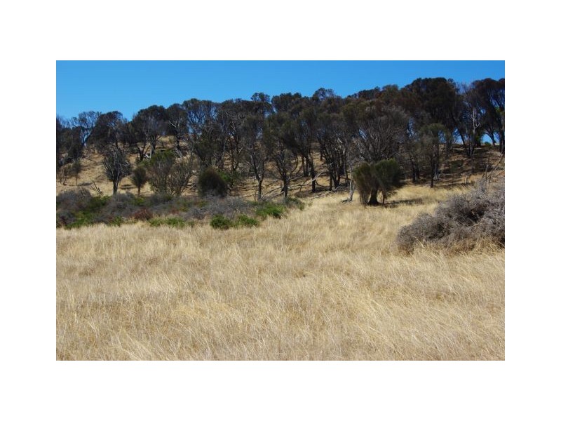 Lot 35 Summervista Boulevard, Kingscote SA 5223