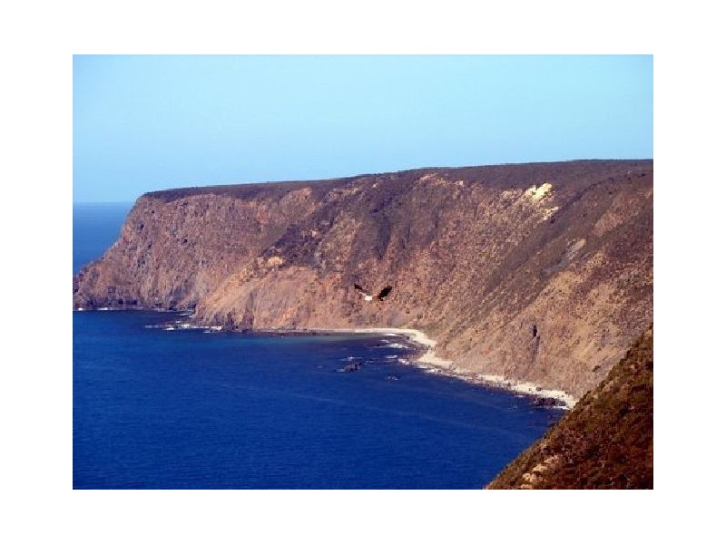 Sec 8 Cape Borda Road, Cape Borda SA 5223