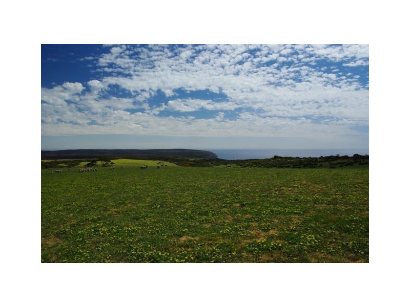 Sec 8 Cape Borda Road, Cape Borda SA 5223