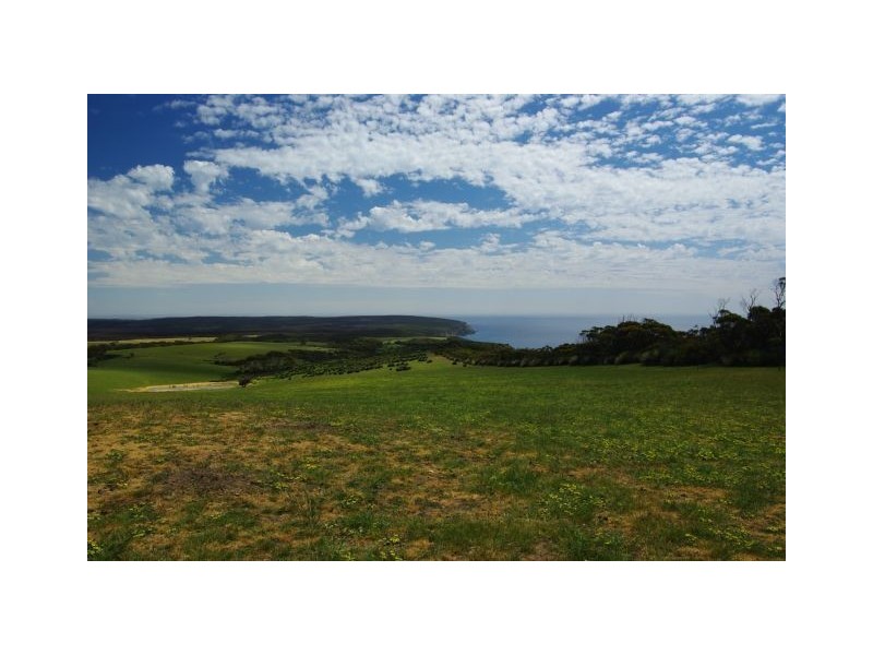 Sec 8 Cape Borda Road, Cape Borda SA 5223