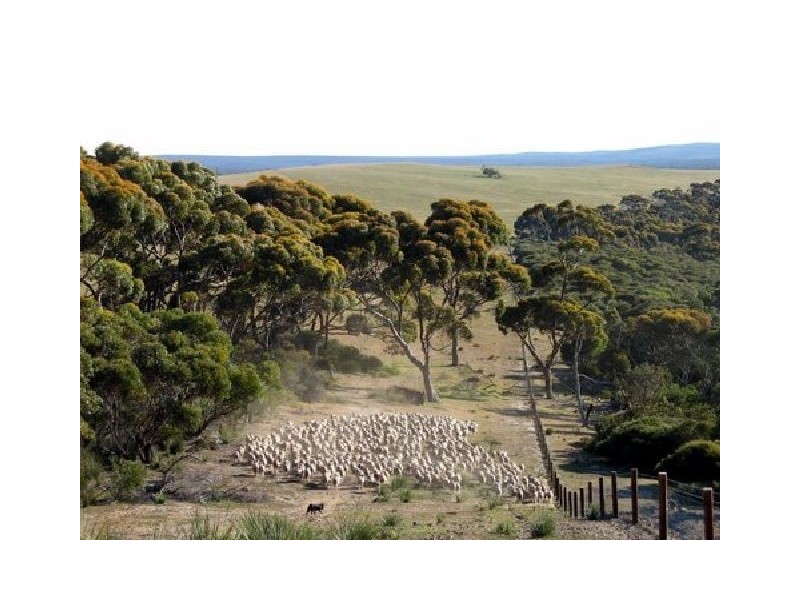 Sec 8 Cape Borda Road, Cape Borda SA 5223