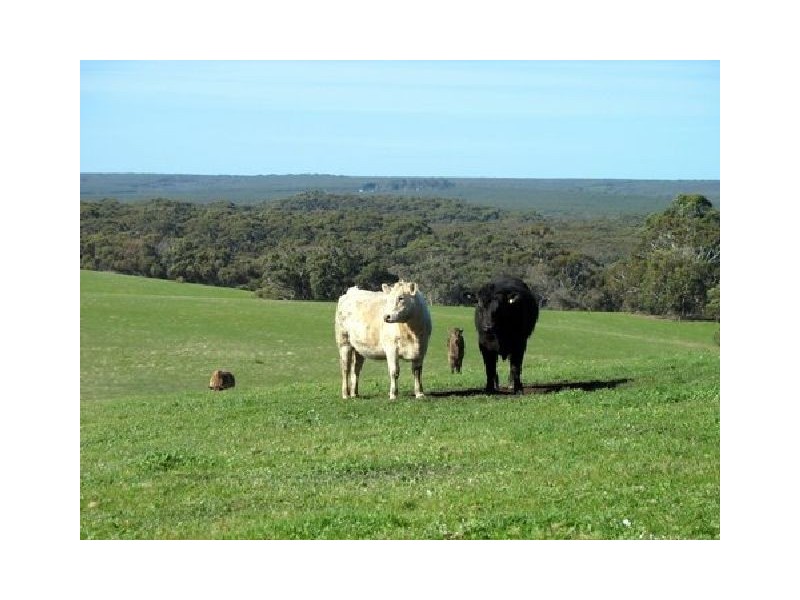 Sec 8 Cape Borda Road, Cape Borda SA 5223