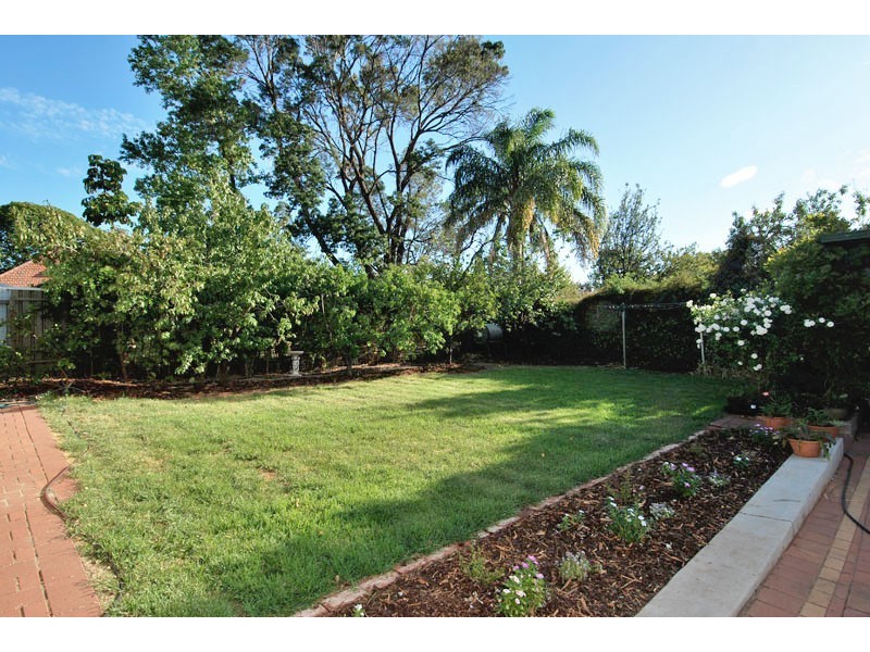 24 Glenunga Avenue, Glenunga SA 5064