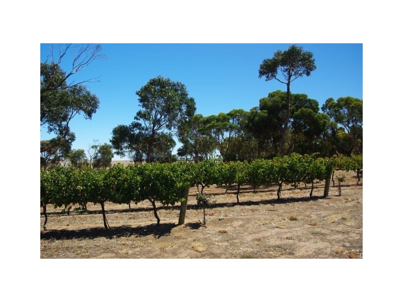 Kingscote SA 5223