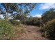 20 Daisy Avenue, Mitchell Park SA 5043