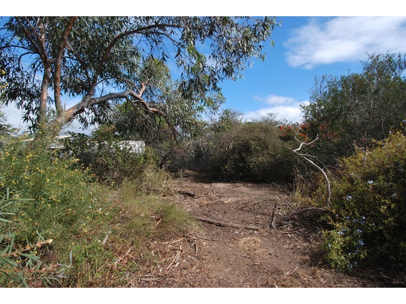 20 Daisy Avenue, Mitchell Park SA 5043