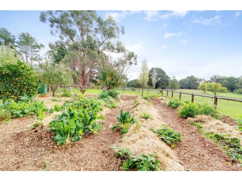 599 Ackland Hill Road, Coromandel East SA 5157