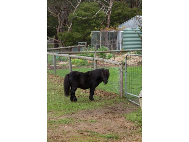 599 Ackland Hill Road, Coromandel East SA 5157