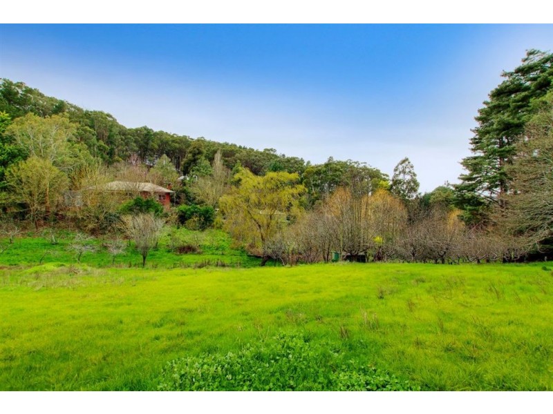 569 Piccadilly Road, Summertown SA 5141