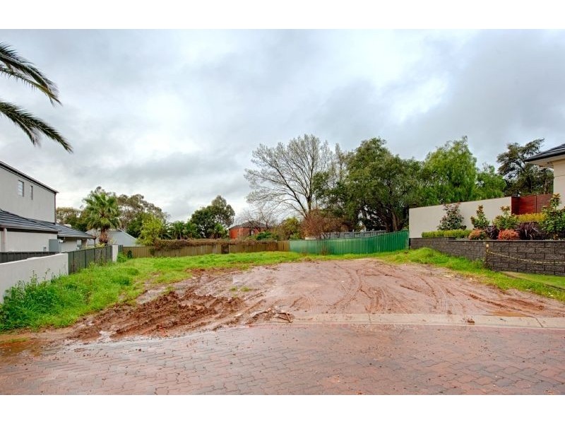 5/6 Gartrell Street, Burnside SA 5066