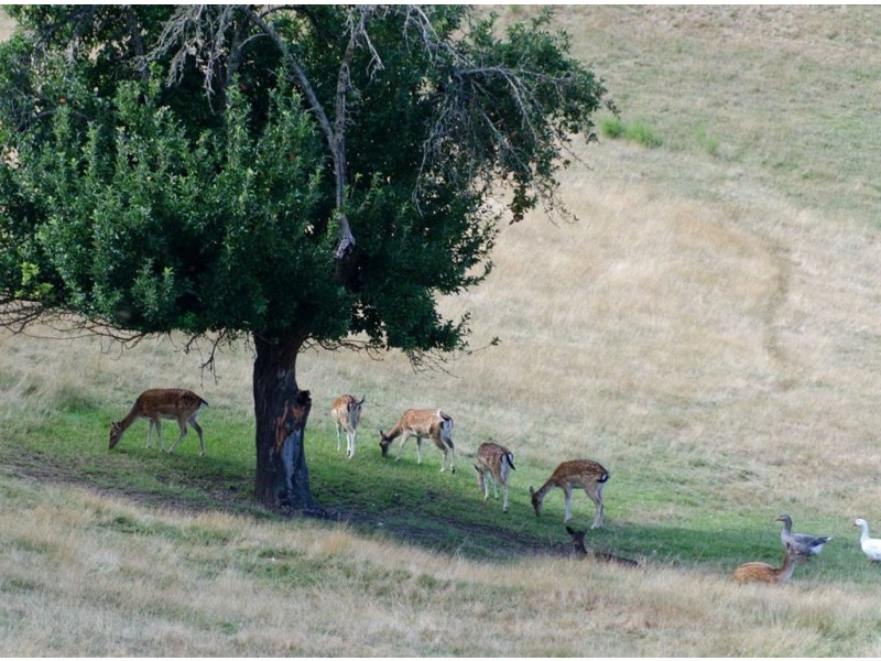 5 Scott Creek Road, Heathfield SA 5153