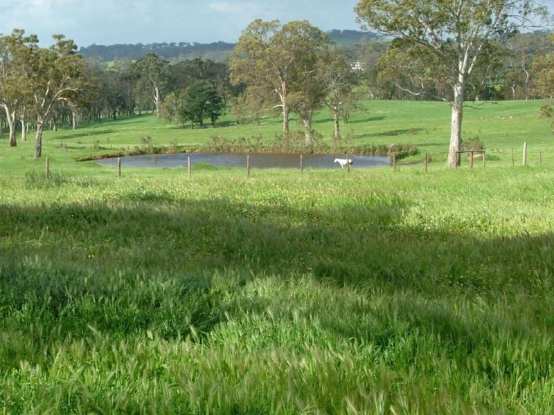 5225 Whitegum road, Oakbank SA 5243