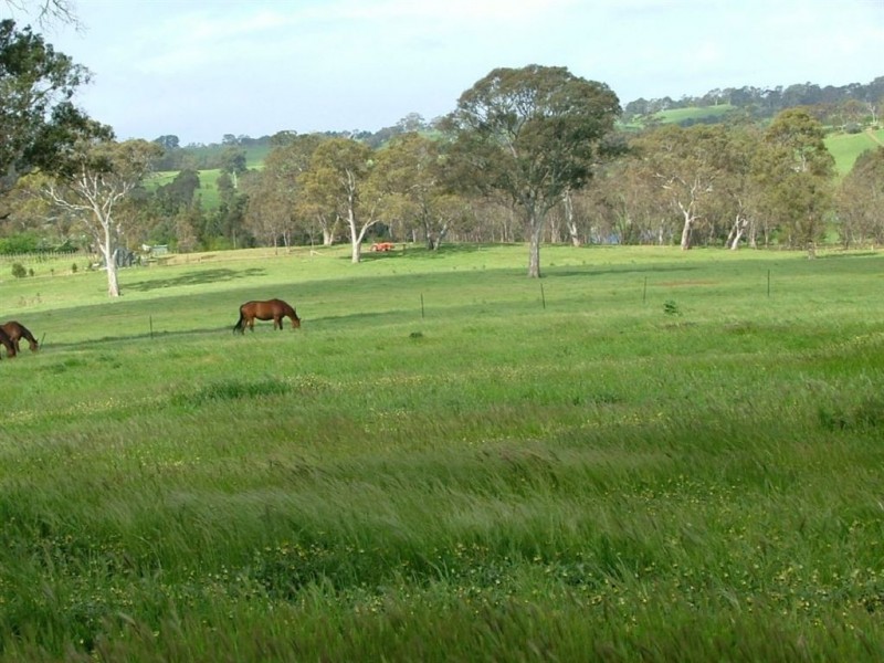 5225 Whitegum road, Oakbank SA 5243