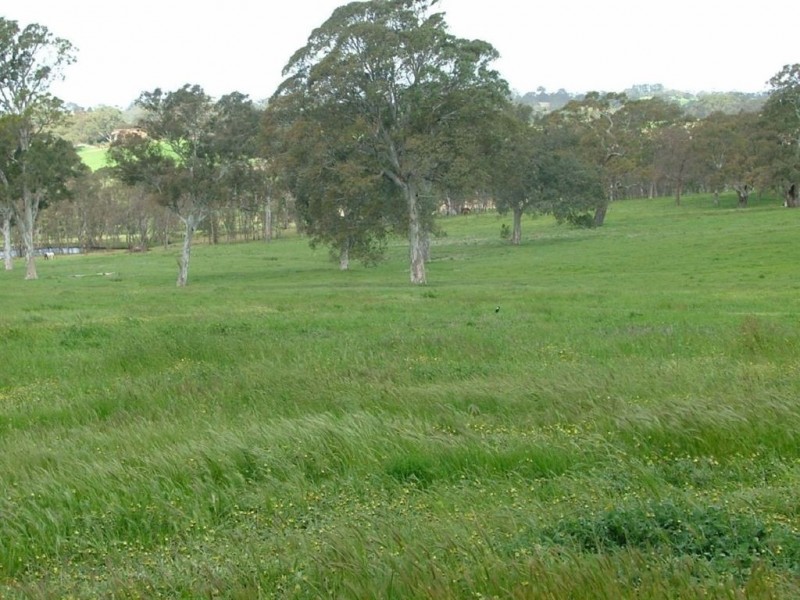 5225 Whitegum road, Oakbank SA 5243