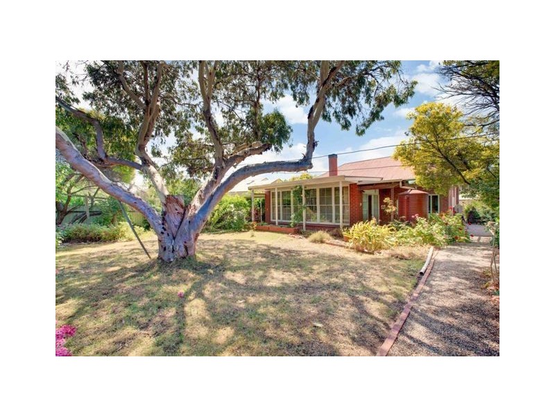 47 Norseman Ave, Westbourne Park SA 5041