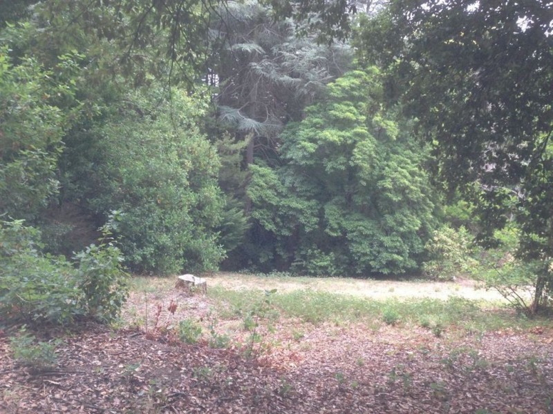 58 waverley ridge road, Crafers West SA 5152