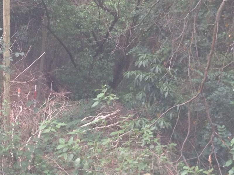 58 waverley ridge road, Crafers West SA 5152