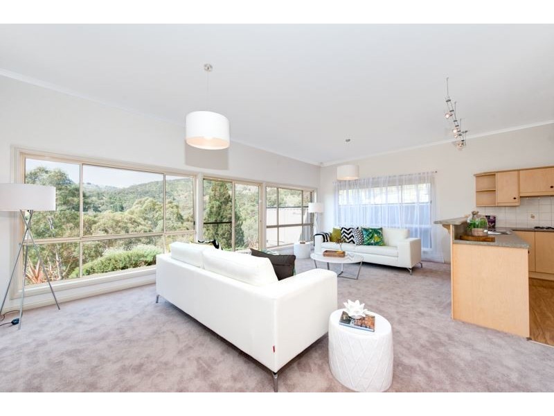 50 Tom Packer Drive, Athelstone SA 5076