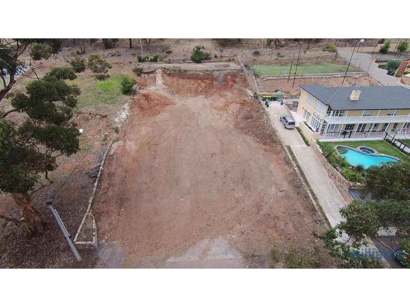 19 Hillside Road, Springfield SA 5062