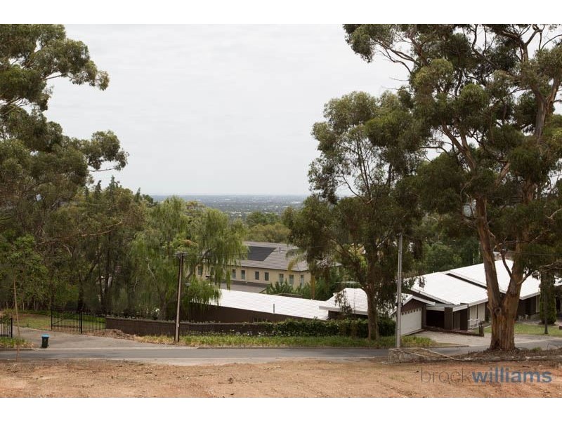 19 Hillside Road, Springfield SA 5062