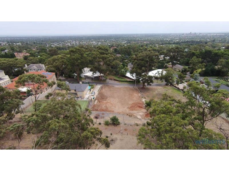 19 Hillside Road, Springfield SA 5062