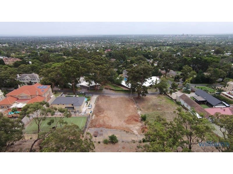 19 Hillside Road, Springfield SA 5062