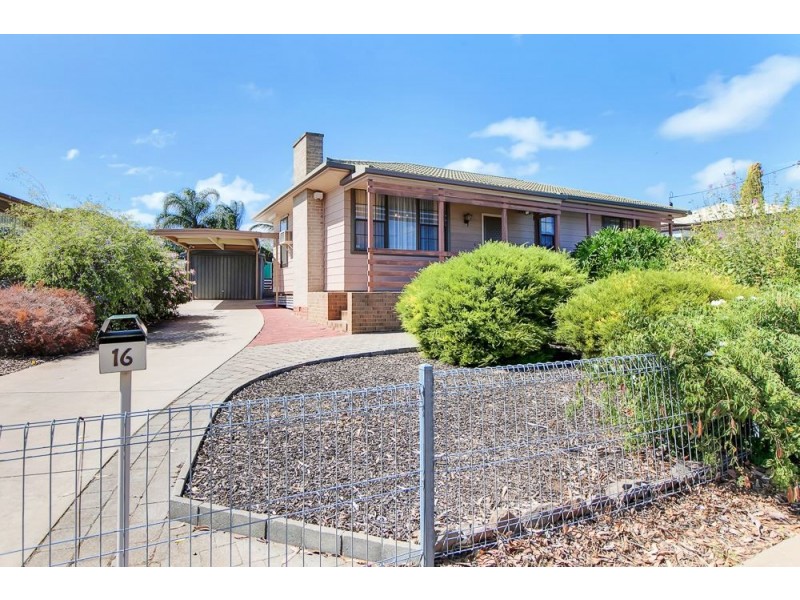 16 Montrose Avenue, Clearview SA 5085