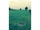 Lot 37, 3 Leitch Road, Roseworthy SA 5371