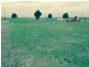 Lot 37, 3 Leitch Road, Roseworthy SA 5371