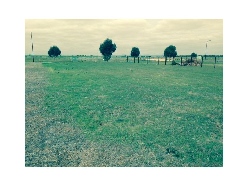 Lot 37, 3 Leitch Road, Roseworthy SA 5371