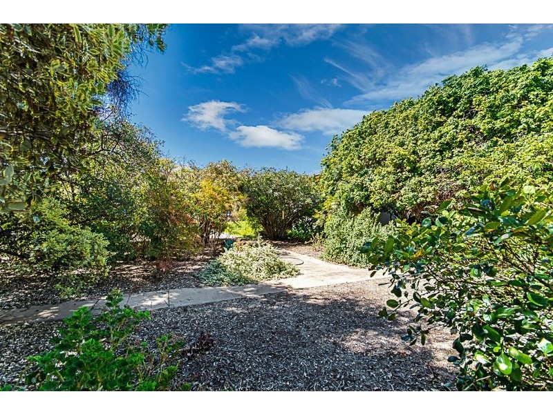 7 Marlborough Street, Brighton SA 5048