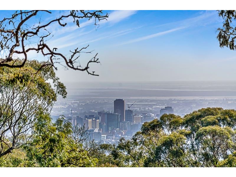 7 Sheoak Road, Belair SA 5052