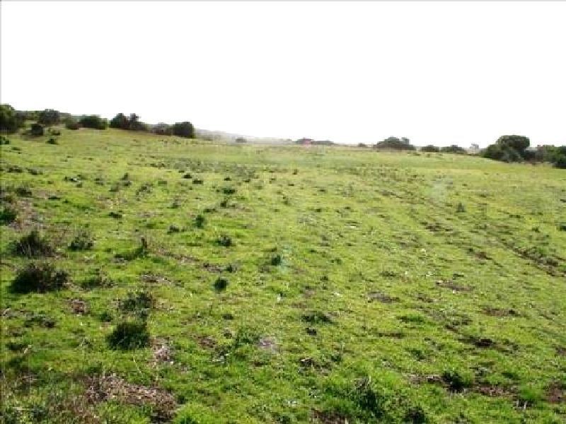 Lot 14 Old Coorong Road, Kingston Se SA 5275