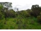 Lot 116 Island Beach Road, Island Beach SA 5222