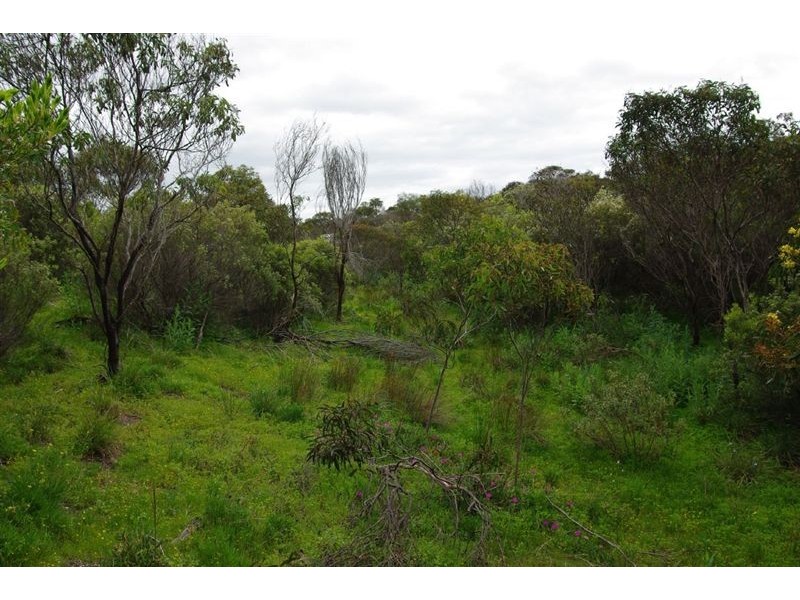 Lot 116 Island Beach Road, Island Beach SA 5222