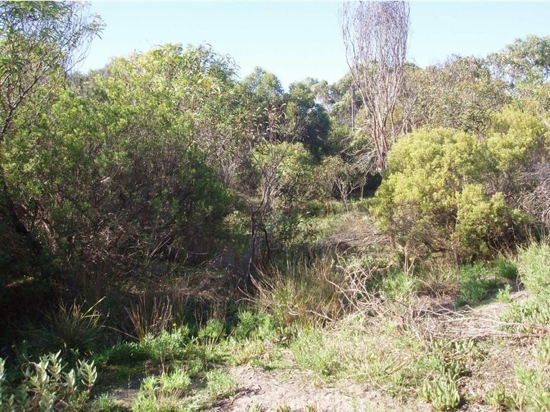 Lot 116 Island Beach Road, Island Beach SA 5222