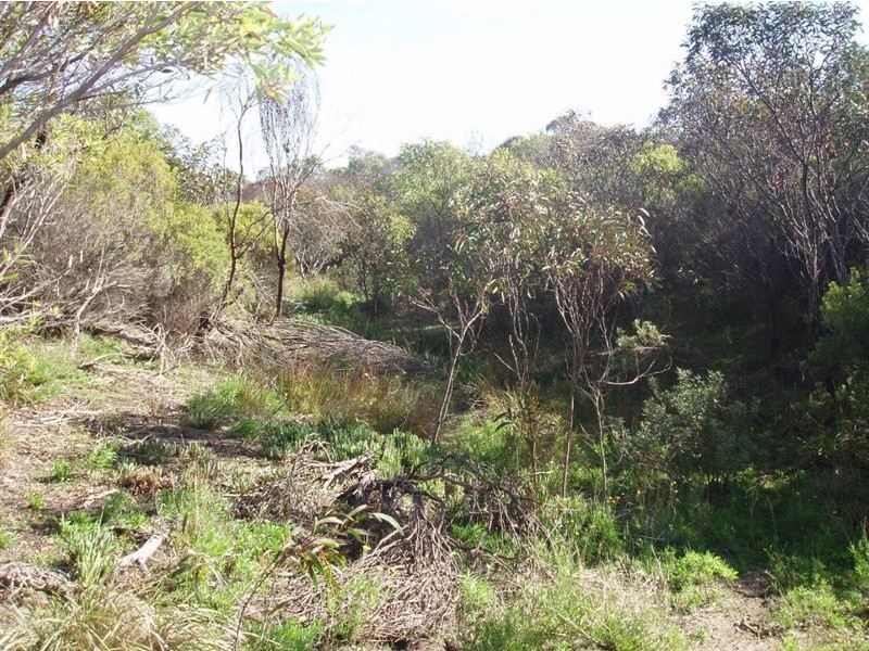 Lot 116 Island Beach Road, Island Beach SA 5222