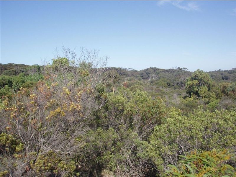 Lot 116 Island Beach Road, Island Beach SA 5222