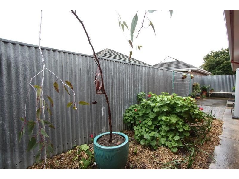 2/167 Kensington Road, Kensington SA 5068