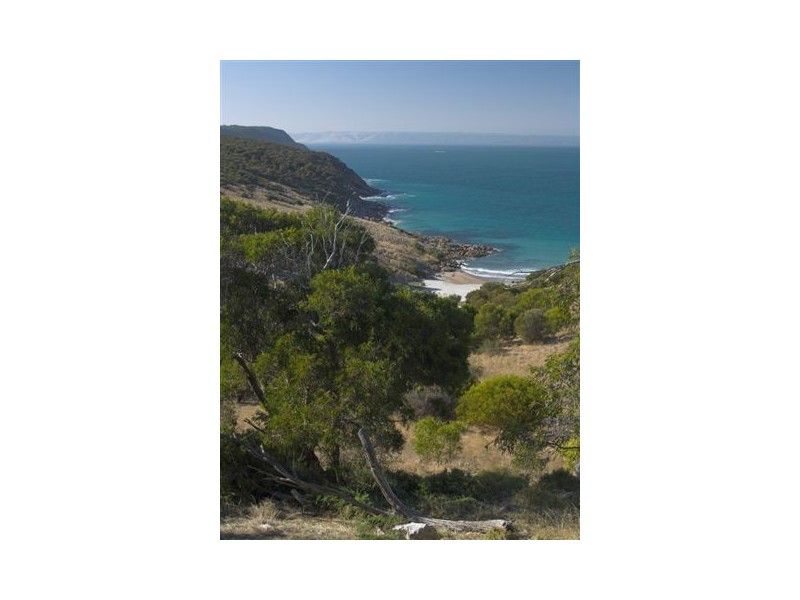 S398 Pink Bay, Willoughby SA 5222