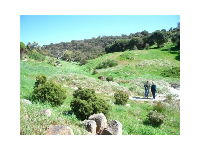 S398 Pink Bay, Willoughby SA 5222