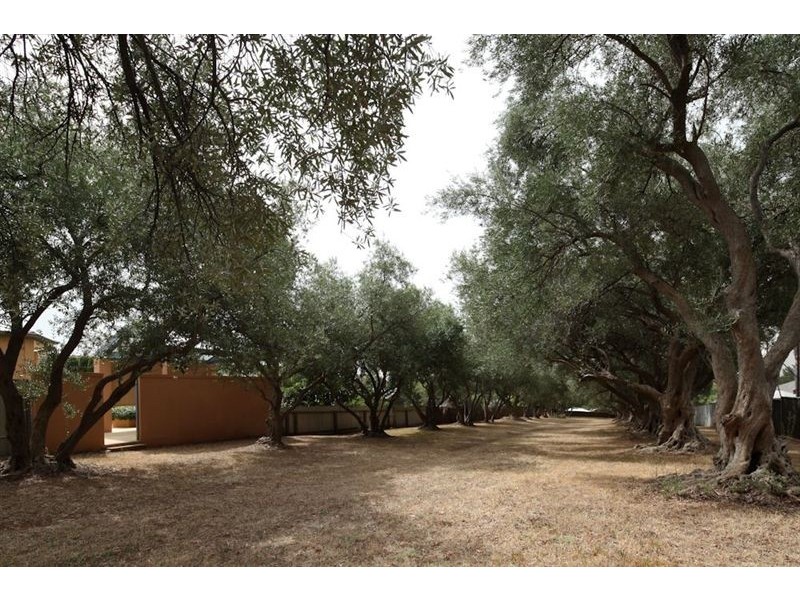 51 Inverness Avenue, St Georges SA 5064