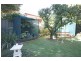3 Owen Street, Torrens Park SA 5062