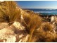 Lot 1 North Esplanade, Point Boston Peninsula, Port Lincoln SA 5606