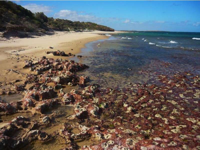 Lot 1 North Esplanade, Point Boston Peninsula, Port Lincoln SA 5606