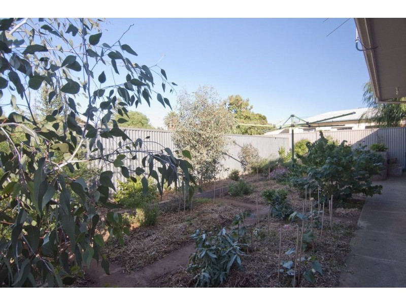 79 Second Avenue, Woodville Gardens SA 5012